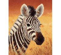 Wallphantom Kit Gancio di Chiusura Tappeto,Zebra animale,Tappeto per Uncinetto Latch Hook Rug Kit per bambini e Adulti,per lavori fai da te,80x160cm