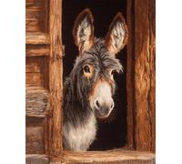 Wallphantom Latch Hook Rug Kit for Adults,asino, animale da fattoria,DIY Latch Hook Rug Kit with Preprinted Pattern Canvas,Needlework Crafts Rug for Home Decor,90x120cm