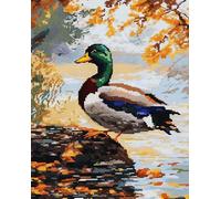 Wallphantom Punto Croce da Ricamare Ricamo Kit Completo,Animale anatra selvatica,tela da ricamo per artigianato,decorazione punto croce kit da ricamare,40x50cm