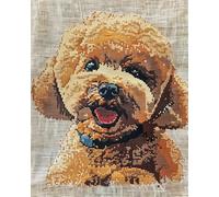 WallustrioaW 11CT Kit Punto a Croce Timbrato,Cane animale,Chihuahua sorridente,Cross Stitch Embroidery Starter Kit per Principianti decorazione artistica da parete DIY,40x50cm