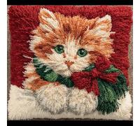 WallustrioaW animale Kit gancio di chiusura fai da te Kit per federa,Un gatto carino,Cuscini Artigianali Ricamare Cuscini per Divano per Adulti e Principianti,43x43cm