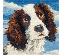 WallustrioaW Cane Animale Kit Cuscino Con Gancio Di Chiusura Federa,Adorabile Charles Spaniel,Filato Per Uncinetto Fai Da Te Kit Da Ricamo Per Principianti Adulti Bambini,Regalo Di Creat,43x43cm