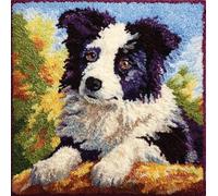 WallustrioaW Cuscino con Gancio di Chiusura,Border Collie Kit per Cuscini Kit per Fabbricare Cuscino a Punto Croce per Adulti Principianti,Accessorio per la Casa,43x43cm