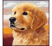 WallustrioaW Cuscino con Gancio di Chiusura,Golden Retriever,Kit per Cuscini Kit per Fabbricare Cuscino a Punto Croce per Adulti Principianti,Accessorio per la Casa,43x43cm