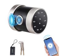 Walmeck Smart Biometric Port Lock Entry Senza Chiave con Impronta Digitale, Codice, Chiave e Accesso della Carta IC per Home Apartment Hotel Office (Argento nero)