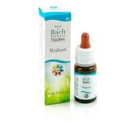 Walnut Gun Gocce 10 ml