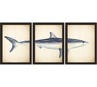 Walplus Adesivi Per Adulti Adesivi In Vinile Rimovibili E Riutilizzabili Perfetti Per I Regali Facile Da Usare Walplus 2In1 Great Shark Poster Wall Sticker Poster Stampa Home Room Decorazioni Mix