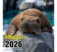 Walrus 2026 Calendar: Coastal giants lounging in polar waters