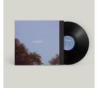 Walrus Ghost If You Could Be Here Now (Vinyl LP) 12" Album