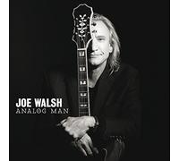 Walsh Joe - Analog Man