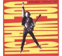 WALSH JOE - Ordinary Average Guy