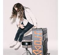 J. Roddy Walston & The Business Destroyers of the Soft Life (Vinyl LP) 12" Album