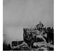 Walt McClements A Hole In The Fence (Vinyl LP)