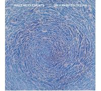 Walt McClements On a Painted Ocean (Vinyl LP) 12" Album
