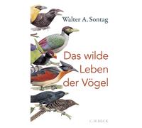 Walter A. Sonta Das wilde Leben der Vögel: Von Nachtschwärmer (Copertina rigida)
