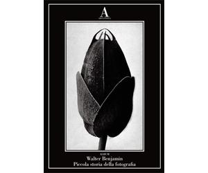 Walter Benjamin. - Piccola storia della fotografia.