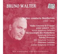 Walter,Bruno - Violin Concerto/...