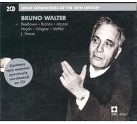 Walter,Bruno - Walter: Great Conductors of the 20t
