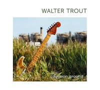 Walter Trout Common Ground (15th Anniversary Edition) (Vinyl LP)