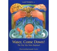 Walter Wangerin Water Come Down (Copertina rigida)