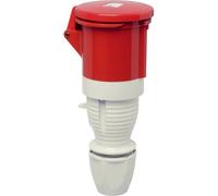 Walther Werke 362 362 Connettore femmina CEE 63 A 5 poli 400 V 1 pz.