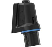 Walther Werke FW710306CC Spina da parete CEE 16 A 3 poli 230 V 1 pz.