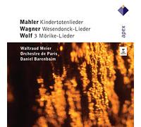 Waltraud Meier( Mezzosoprano), Orchestre De Paris, Daniel Barenboim( Direttore) - Kindertotenlieder , Wesendonck Lieder