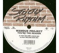 Wamdue Project - You'Re the Reason