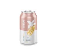 WAMI Wanderfuse Infuso | Infuso Freddo Bio BAO con Baobab e Fiori di Sambuco, Bevanda Naturale Analcolica, 24 Lattine da 33 usto Fresco e Leggero | Alluminio 100% Riciclabile