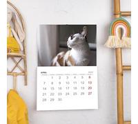 Wanapix | Calendario 2025 da Muro Personalizzato | In Italiano | Calendario 2025 da Parete | Ogni Mese con una Foto Diversa | 32 x 45 cm | Basic