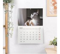 Wanapix | Calendario 2026 da Muro Personalizzato | In Italiano | Calendario 2026 da Parete | Ogni Mese con una Foto Diversa | 32 x 45 cm | Basic