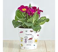 Wanapix | Vaso da Fiori Personalizzato | Regali per maestre/, insegnanti/professori | Vaso con il vostro Nome | Ceramica | Kids