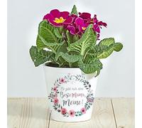 Wanapix | Vaso da Fiori Personalizzato | Regalo per la Festa della Mamma, per le Comunioni, per i Matrimoni o per i Battesimi | Vaso con il vostro Nome | Ceramica | Mamma e nonna
