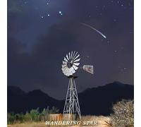 Wandering Star