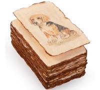 Wanderings 5x9cm Fatti a Mano, Vintage, Carta Bianca per Biglietti da Visita - 25 Pezzi - Acquerello, Arte E Artigianato, Cartellini Regalo, Cartellini Prezzo, Segnaposto, Cartellini - 150 GSM