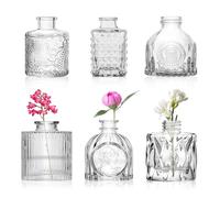 WANDGU 6 piccoli vasi per decorazione da tavolo: set di vasi in vetro vintage, decorativi, piccoli vasi Glasva Sen Flower sottili per casa, matrimoni, compleanni, feste, regalo, 8 cm