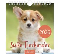 Wandkalender Süße Tierkinder 2026: Monatskalender 2026, mit 12 heraustrennbaren Postkarten Tierfreunde