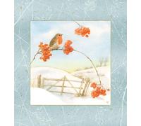 Wandkalender Wintermorgen mit Rotkehlchen