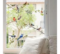WandSticker4U®- Adesivi per finestre UCCELLI sui RAMI decorativi (78x50 cm) I Decorazioni vetrofanie per finestre ramo albero soggiorno cucina bagno pellicola vetri primavera estate (senza colla)