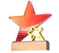 WANFANK Coppa Trofeo in Metallo con Incisione Personalizzata, Trofeo del Campionato Personalizzato for competizioni Sportive, Calcio, Basket, Baseball, Vincitore del Premio for Bambini e Adulti(D)