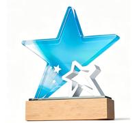 WANFANK Coppa Trofeo in Metallo con Incisione Personalizzata, Trofeo del Campionato Personalizzato for competizioni Sportive, Calcio, Basket, Baseball, Vincitore del Premio for Bambini e Adulti(A)