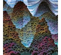 Wang Wen 100,000 Whys (Vinyl LP) 12" Album