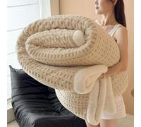 WANGCAIER Thick Winter Bed Blankets Soft And Warm Plush Blanket Large Cozy Fluffy Sofa Throw Reversible Raschel Heavy Korean Mink Blanket Double for Sofa Travel Living Room(230×200cm,9#)