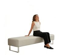 WANGCEPLSD Panche da Ingresso, Panca per Sala D'attesa, Supporto 500 Kg, Base in Acciaio Inossidabile, per Ufficio, Attività Commerciale, Banca(Gray,150cm/59in)