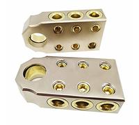 WANGCL 2Pcs Kit Connettore Terminale Batteria (6) 1/0 Gauge AWG Positivo Negativo Batteria Post Morsetto con Strumenti Speciali per Auto Caravan Marine Boat