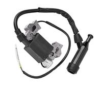 WANGCL Bobina di accensione, parti del generatore per 168F-170F 2KW/3KW Generato della benzina