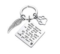 WANGCL Regali commemorativi per Cani Regali per lutto Portachiavi con Impronte di Zampa di Animali Domestici in Acciaio Inossidabile Portachiavi commemorativo Scatola Memoria smarrito Gatto Domestico