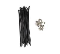 WANGSHAOWEI Raggi per Bicicletta Raggi Bici 10PCS 12G (2.5mm Dia) E-Bike for MTB/Fat Elettrico for Bicicletta o Ebike Kit di Conversione Ruota Anteriore Posteriore(74mm)