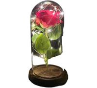 WANGSHAOWEI Rosa Eterna Rosa di Vetro, for Sempre Magic Eternal 24K Lamina d'oro Fiore Cupola Fata String Lights Natale San Valentino Regalo della Mamma(001)