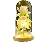 WANGSHAOWEI Rosa Eterna Rosa di Vetro, Rosa for Sempre Artificiale Luce eterna con Copertura in Decorazione for la casa for San Valentino Regalo Natale for Mamma(Style C)